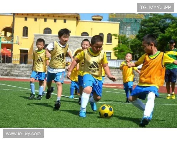 围绕邵阳哪所学校足球最强的深度探讨与校园体育发展优势分析解读