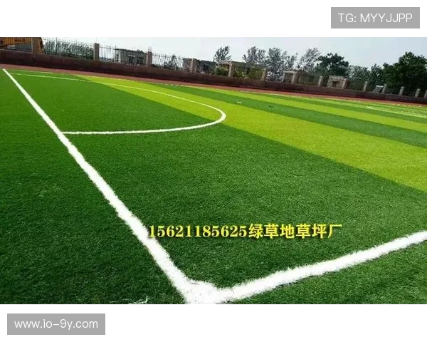 微型足球草坪垫子创新设计与应用探索提升运动体验的多功能解决方案